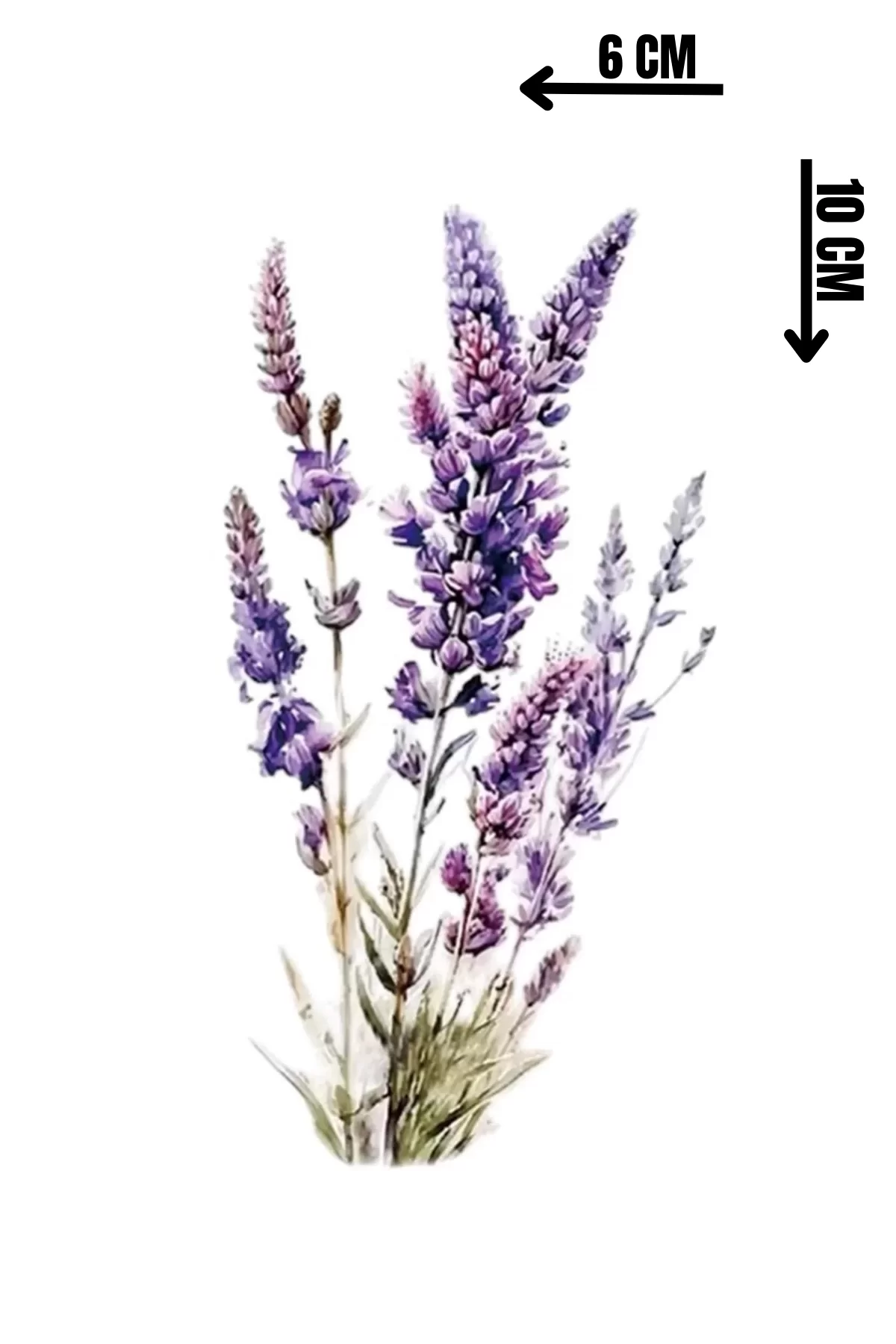 Geçici Lavanta Figürlü Dövme Tattoo