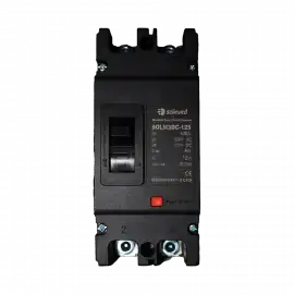 Solinved DC1000V, 2P, 100A DC Şalter