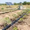 Pantec 24V 210W DC Solar Dalgıç Pompa - 80 Metre - 1,8 m³/saat