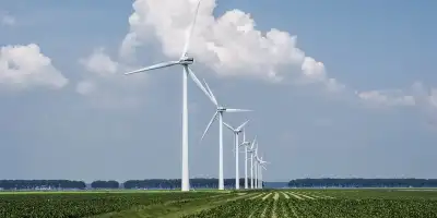 Rüzgar Gülü Fiyatları Nedir?