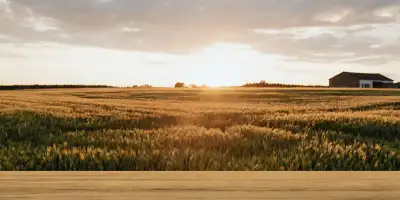 Tarla Dönüm Hesaplama Nasıl Yapılır?