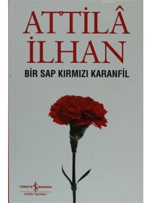 Bir Sap Kırmızı Karanfil Cumhuriyet Söyleşileri (Eylül 96 - Mart 97)