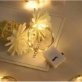 2m Pilli Peri Led Beyaz Işık