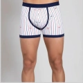 Berrak Çapa Ve Çizgi Baskı Erkek  Boxer 1107