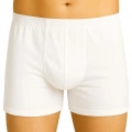 Beyaz  6810 Arjantin Erkek Boxer