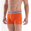Blackpade Erkek  Colour Boxer 9550