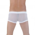 Br291125 Transparan Boxer