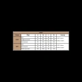 Dantelli Tüllü Ve Dekolteli Saten Şort Takımı