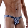 Desenli Erkek Slip