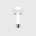 DL-2030 Şarjlı LED Ampul