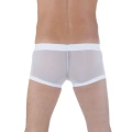 DM291125 Transparan Boxer