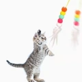 Elastik Kendinden Yapışkanlı Solucan Kedi Oltası (K95)