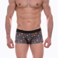 Erkek Desenli Boxer