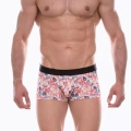 Erkek  Desenli Boxer