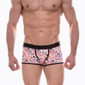 Erkek Desenli Boxer