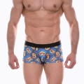 Erkek Desenli Boxer