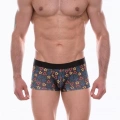 Erkek  Desenli Boxer