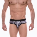 Erkek Desenli Slip