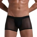Erkek Transparan Tül Boxer Pedsiz