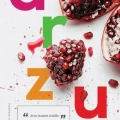 Fol Kitap