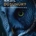Fol Kitap