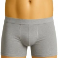 Gri  6800 Erkek Boxer