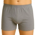 Gri  6810 Arjantin Erkek Boxer
