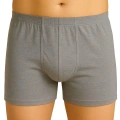 Gri  6810 Arjantin Erkek Boxer