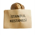 Kestane Magnet
