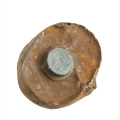 Kestane Magnet