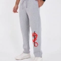 Kışlık Üç İplik Baskılı Eşofman Pantolon - Gri