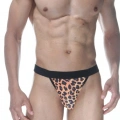 Leopar Erkek  Tangası
