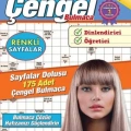 Maxi Yayıncılı