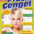 Maxi Yayıncılı
