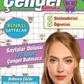 Maxi Yayıncılı