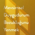 Profil Kitap