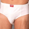 Şahinler Penye Erkek  Külot Slip E009