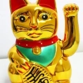 Şanslı Kedi