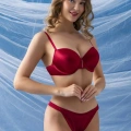 Sütyen Ve Slip Külot Takım Bordo