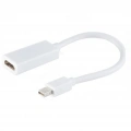 ZR138 Mini Dp Hdmı Çevirici Kablo 30 Cm