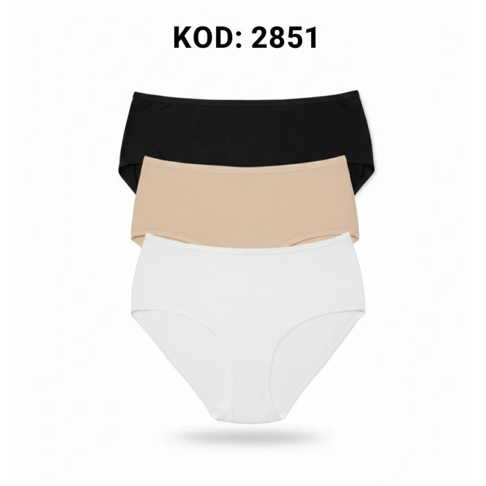 3LÜ SET KÜLOT-SİYAH-BEYAZ-TEN DOR2851