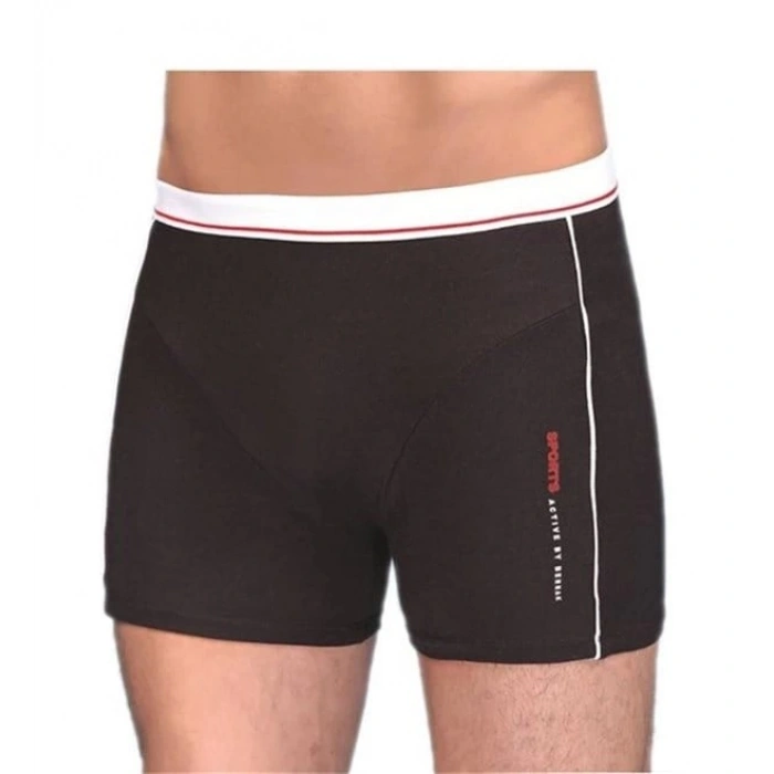 Berrak Erkek  Modal Silva Boxer 1078