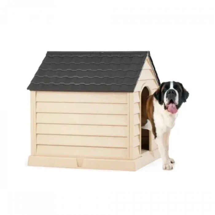 Büyük Köpek Kulübesi