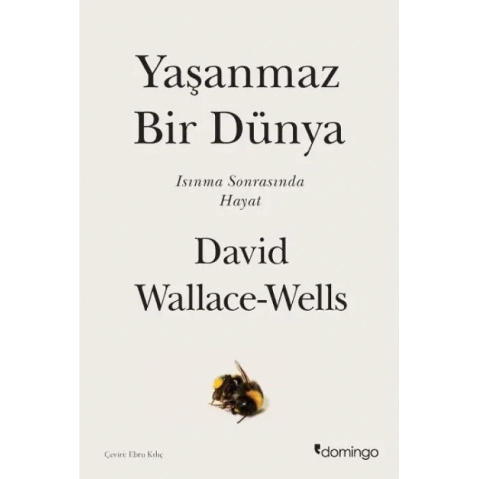 Domingo Yayıne
