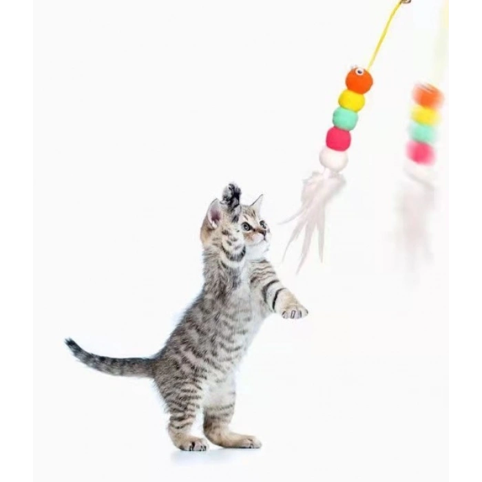 Elastik Kendinden Yapışkanlı Solucan Kedi Oltası (K95)