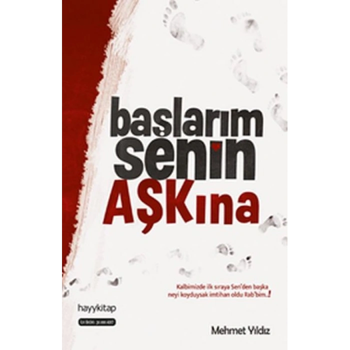 Hayy Kitap