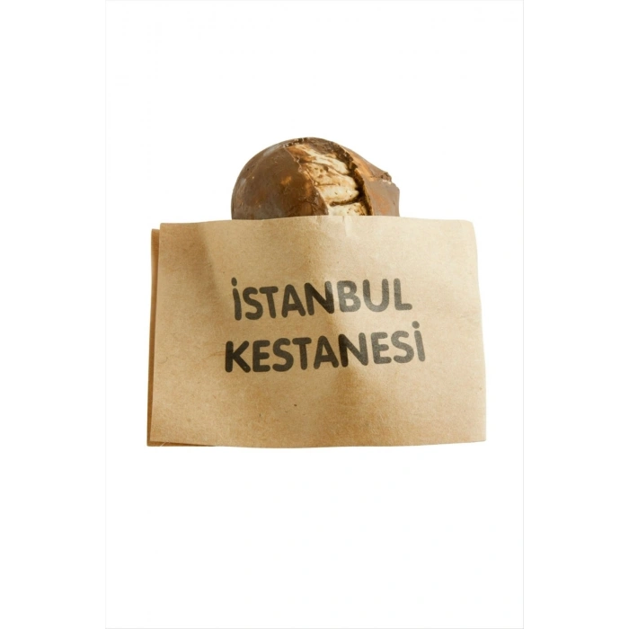Kestane Magnet