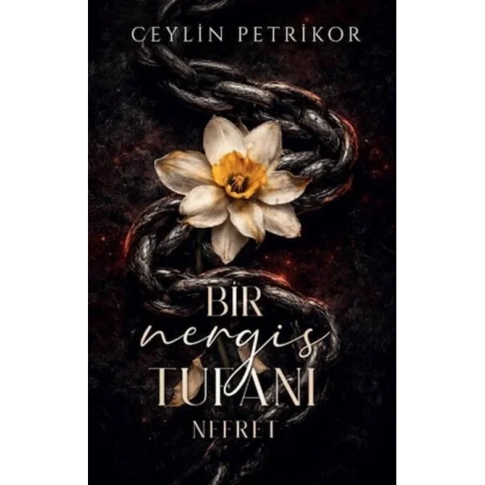 Martı Yayınlar