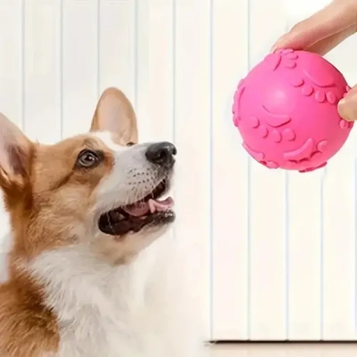 Pati Desenli Köpek Isırma Topu