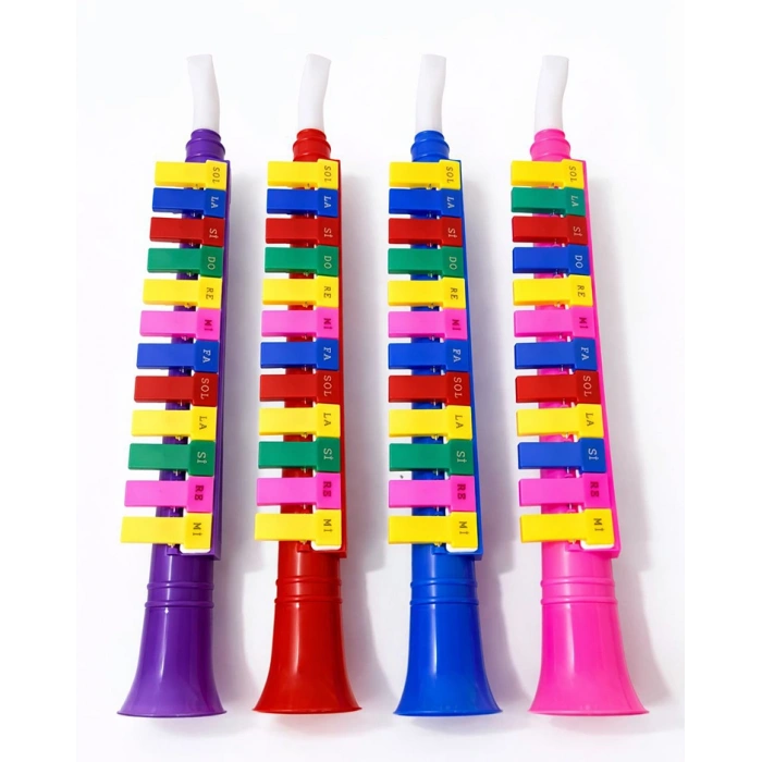 Renkli Plastik Melodika